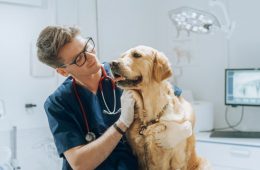 Detrazione spese veterinarie 2023