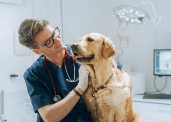 Detrazione spese veterinarie 2023